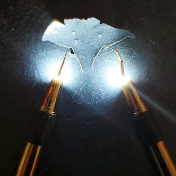 2Pcs LED Weeding Tools for Vinyl: Lighted Weeding Pen with Pin & Hook for  Removing Tiny Vinyl Paper/Iron Projects Cuts